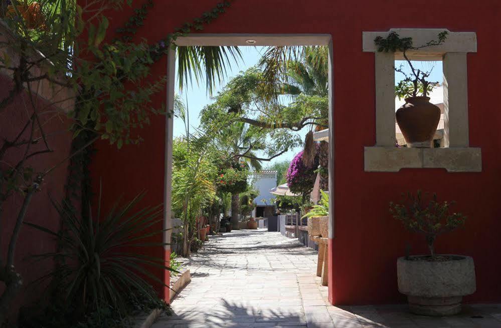 Ferienwohnung Quinta Dos Amigos Almancil Exterior foto